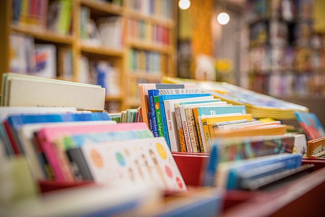 literary fiction hardcover displayed on oak shelf